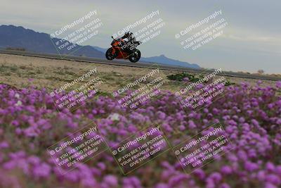 media/Jan-14-2023-SoCal Trackdays (Sat) [[497694156f]]/Turn 14 Exit Bloomig (145pm)/